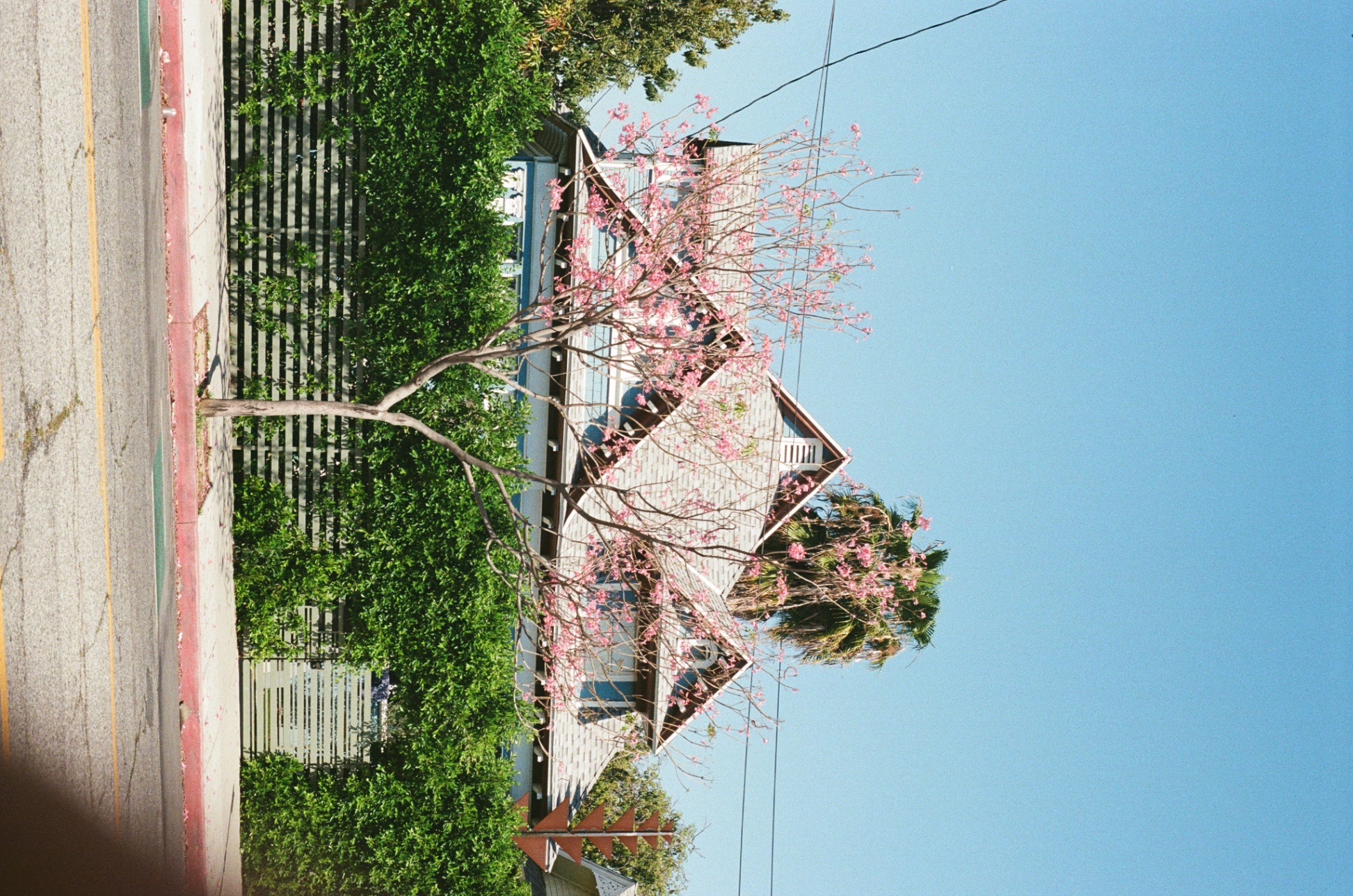 Frame 10