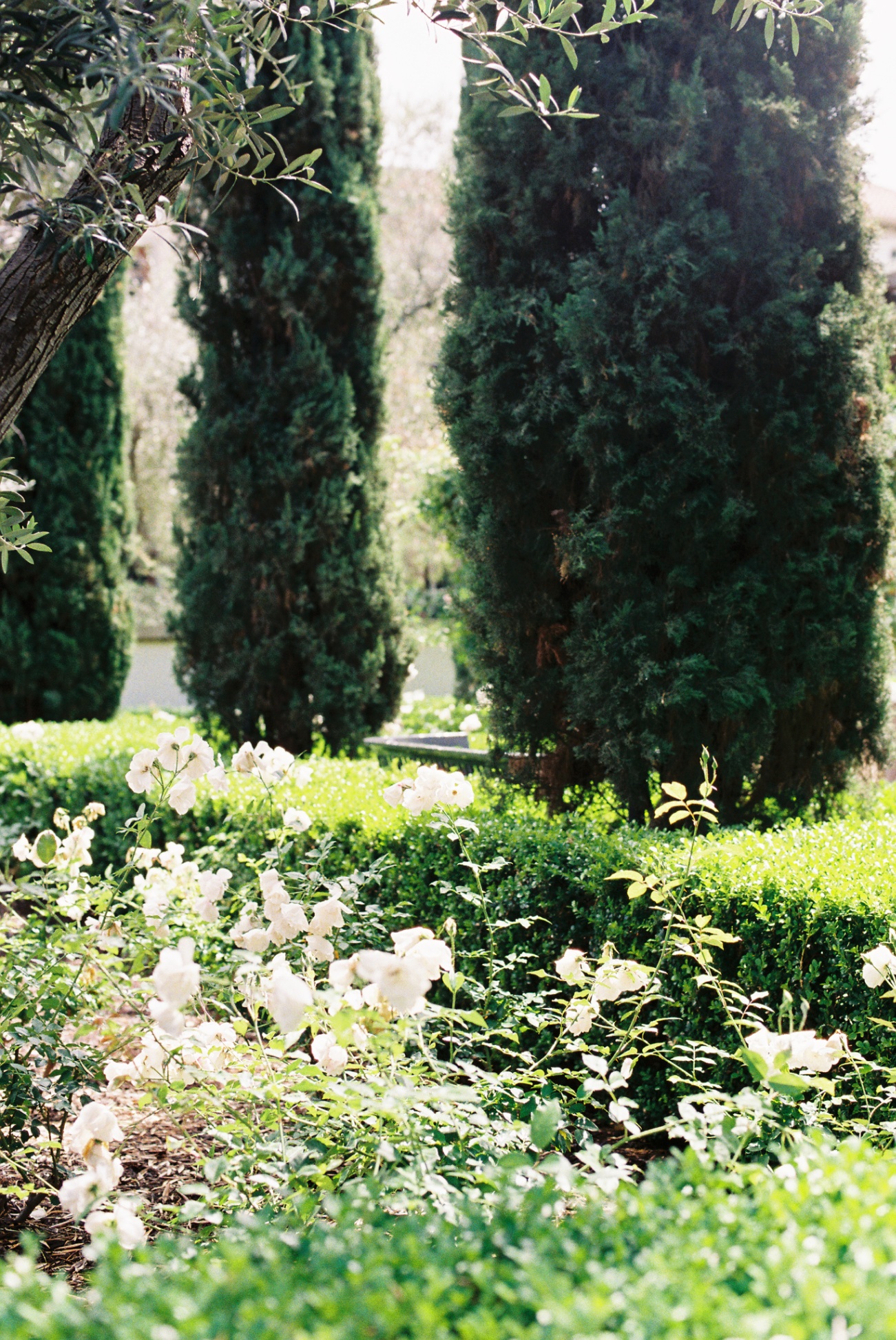 Frame 6