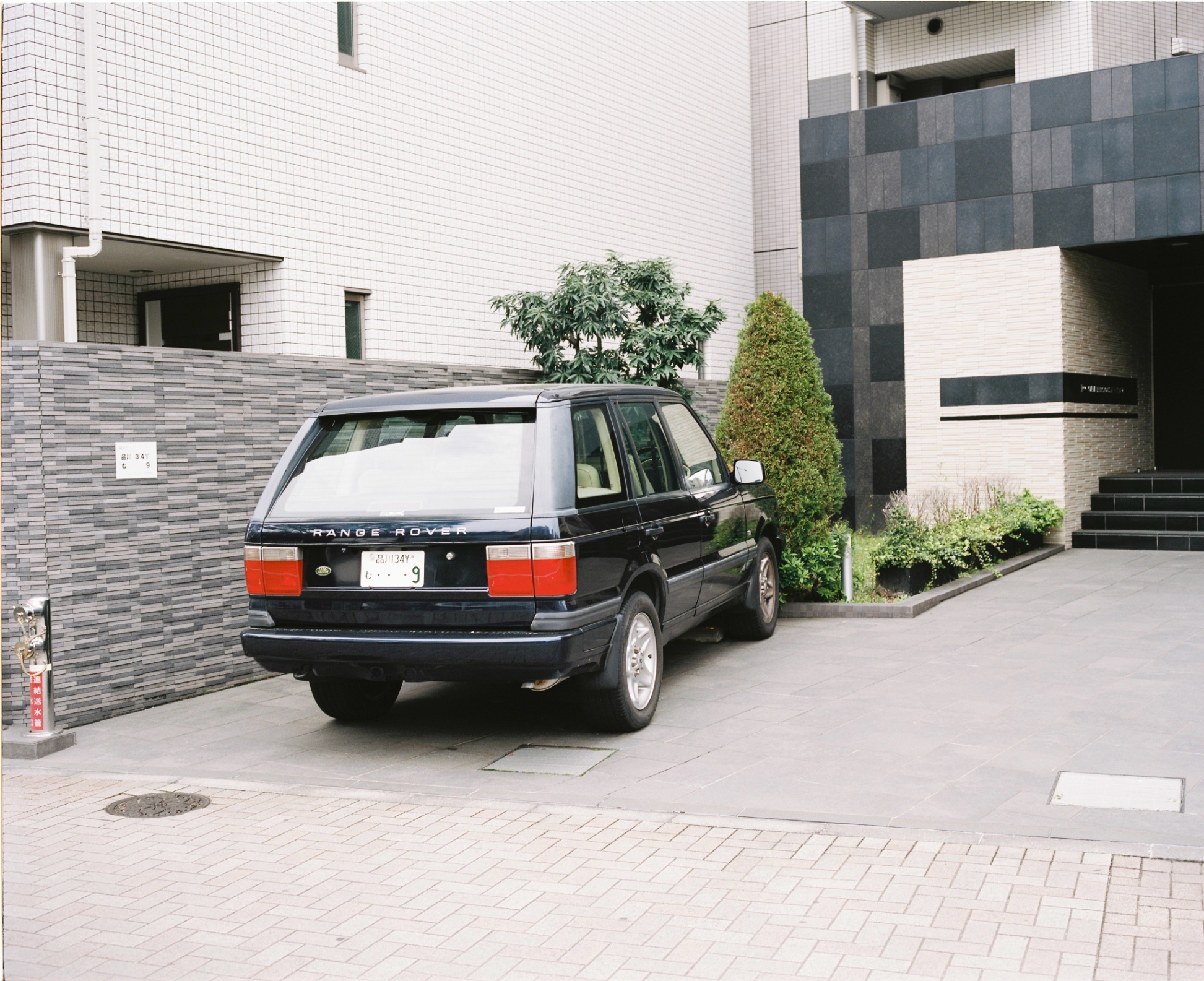 Frame 6
