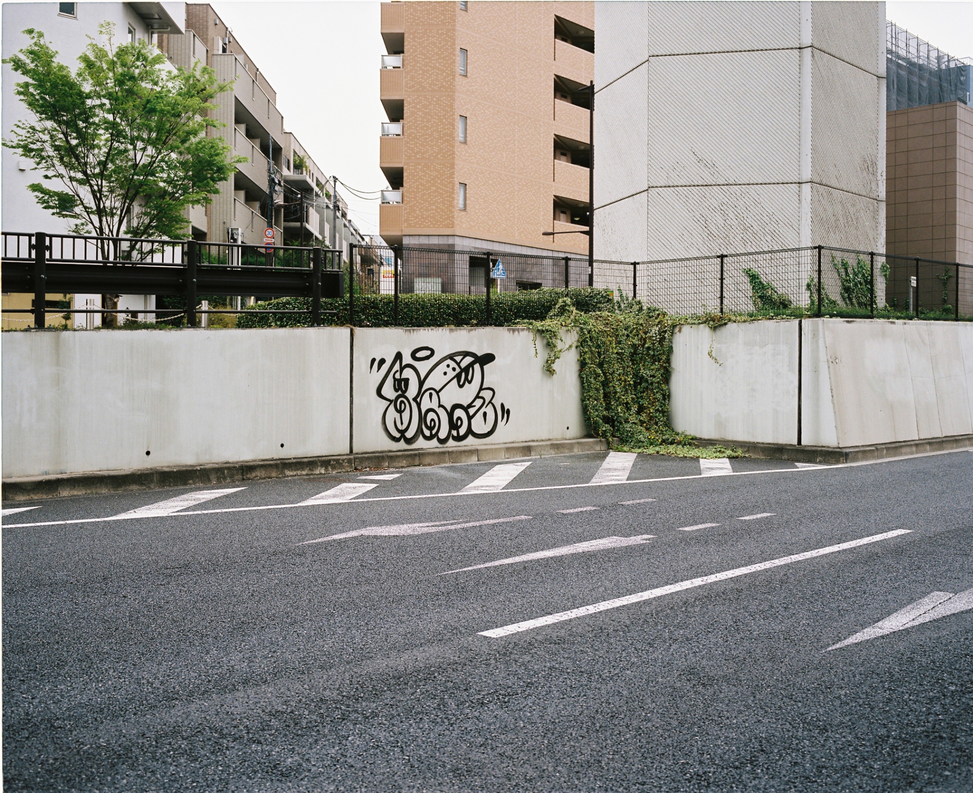 Frame 7