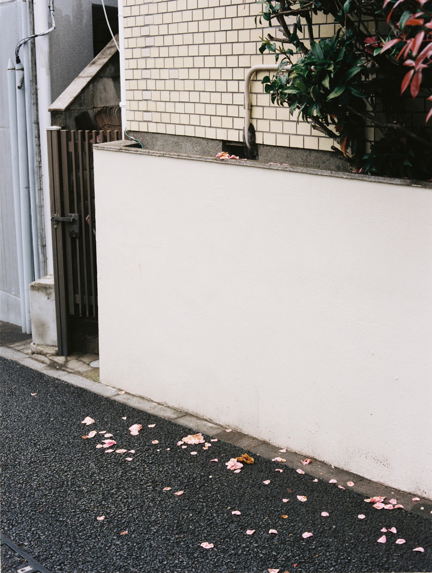 Frame 13