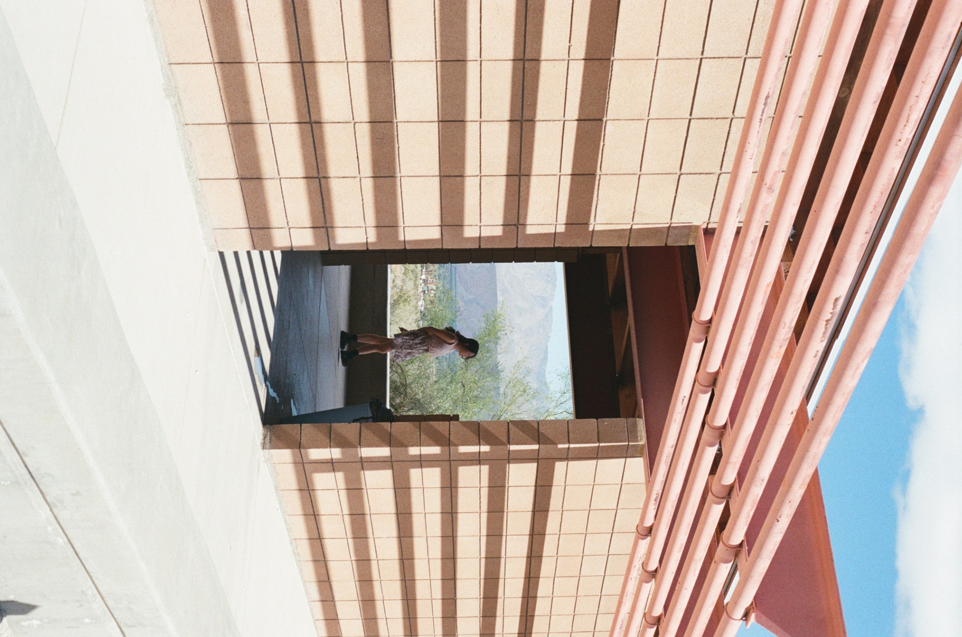 Frame 12